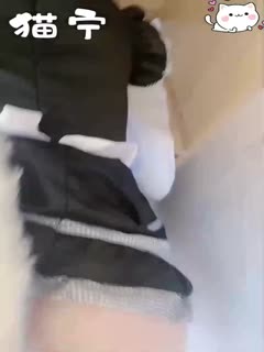 猫宁神仙颜值小仙女小姐姐黑丝猫猫女仆啪啪