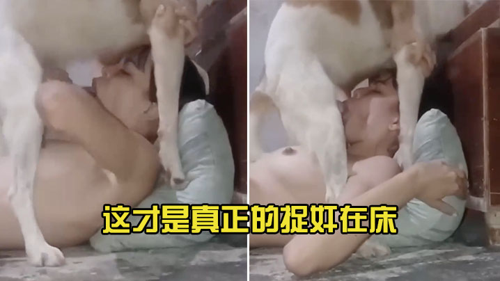 骚货少妇帮狗子口一下.